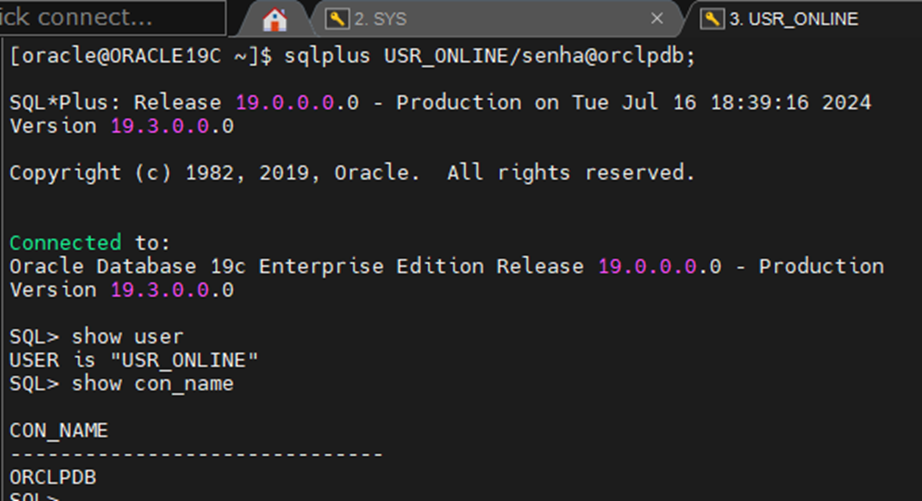 Como Gerenciar e Remover Usuários Conectados em um Banco de Dados Oracle: Guia Prático 3 image 34