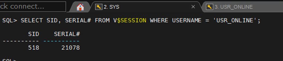 Como Gerenciar e Remover Usuários Conectados em um Banco de Dados Oracle: Guia Prático 8 image 44