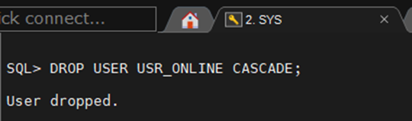 Como Gerenciar e Remover Usuários Conectados em um Banco de Dados Oracle: Guia Prático 13 image 52